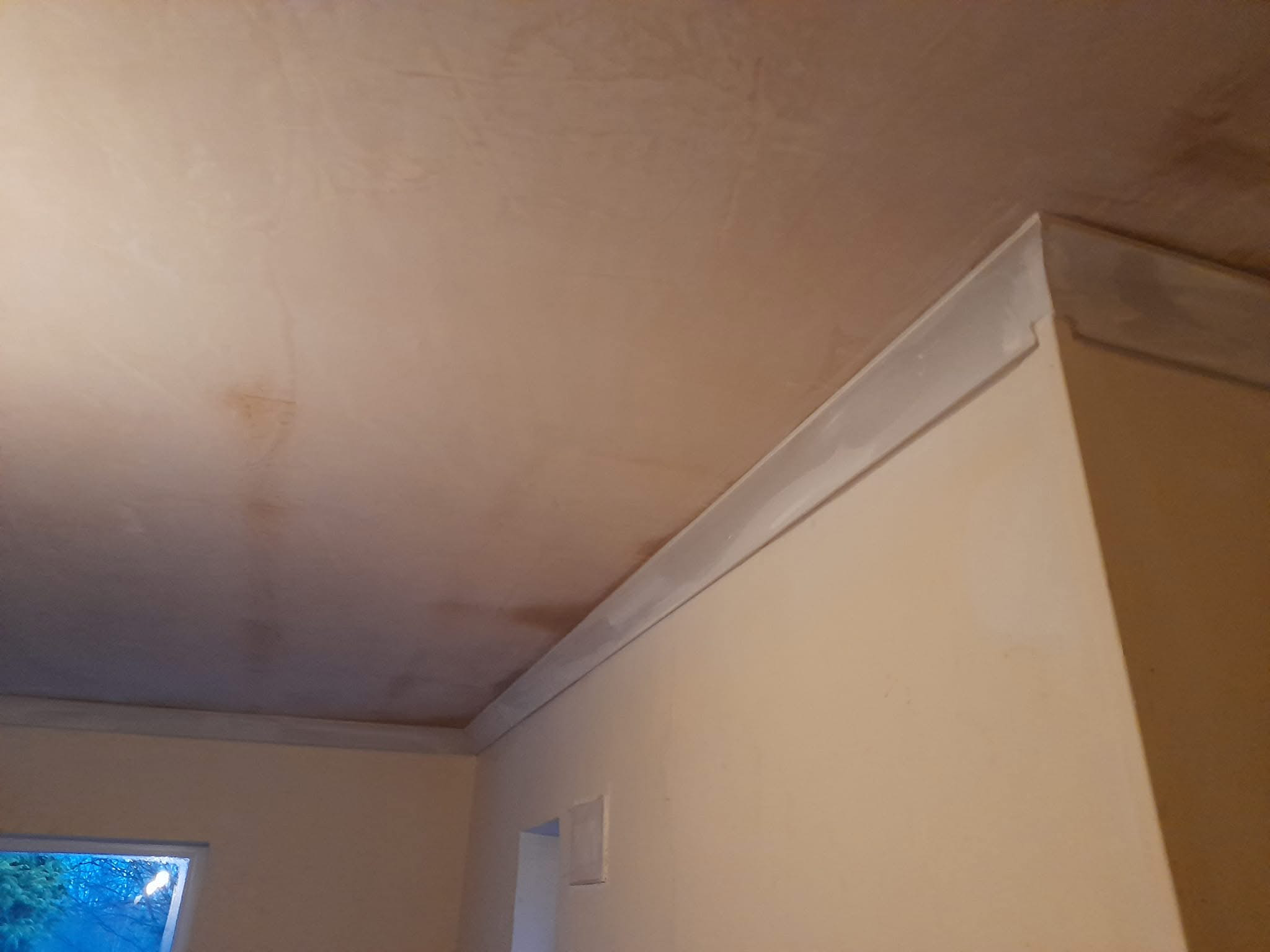 Coving Installation in Doncaster | Colourtex Plastering